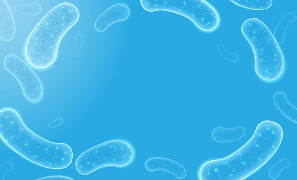 stockillustraties, clipart, cartoons en iconen met 3d probiotic bacteria. microbiome flora, lactobacillus acidophilus - bacterie