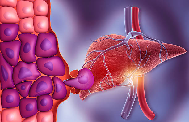 istock Human liver cancer growth concept 2211394146