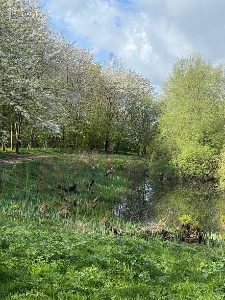 istock Gallows nature reserve Otley 2211398939