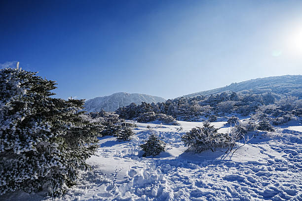Hallasan Mountain in Jeju island