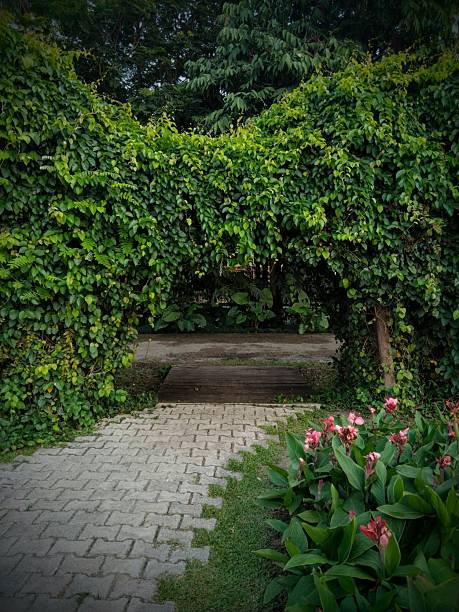 Pathway through the spring garden, a charming walkway surrounded by flowers and lush greenery