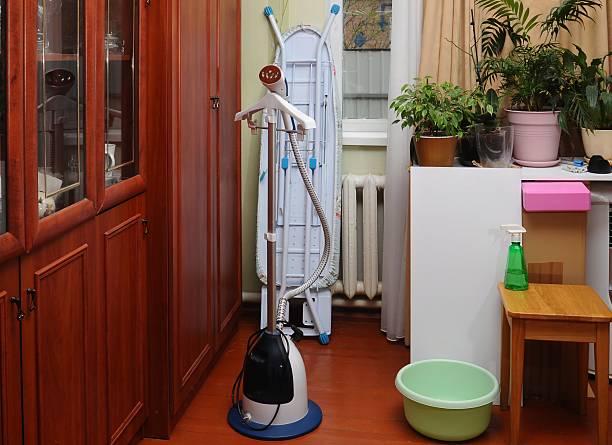 A home interior features a clothes steamer with an ironing board and green plants near a window with natural light. A basin and sprayer also visible.