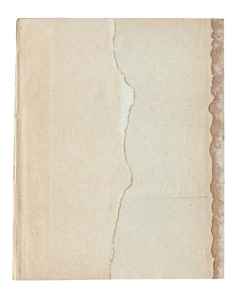 istock Vintage background of old ancient torn paper texture isolated 2211404166