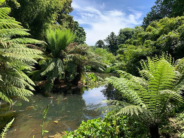 istock Subtropical garden with pond in England 2211404241