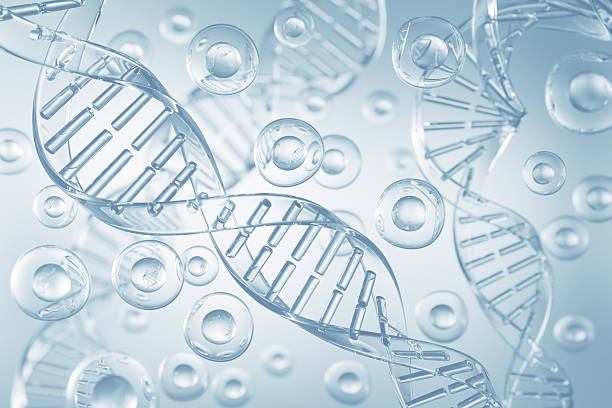 istock 3d rendering of Human cell or Embryonic stem cell microscope with DNA background. 2211405705