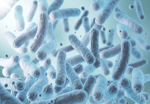istock Probiotic bacteria, Lactobacillus , 3d illustration. 2211405816