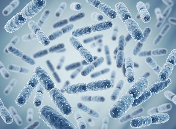 istock Lactobacillus bacteria, probiotic medical background 3d illustration. 2211405852