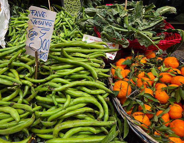 various vegetables such as beans, tomatoes, cucumbers and basil harvested from their own garden