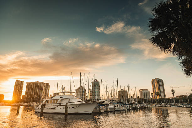 tampa skyline in usa