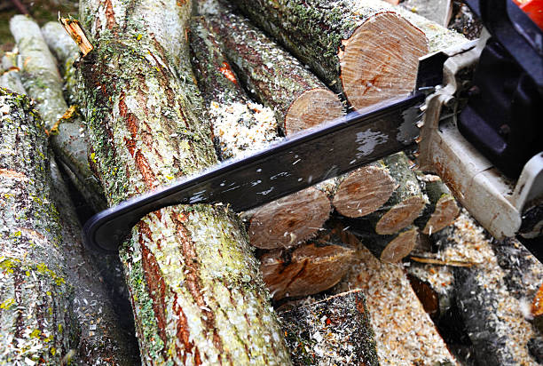 istock Log firewood cutting. Woodcutter with Chainsaw on Preparing firewood. 2211420769
