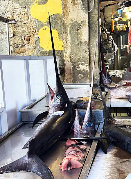 Photograph of swordfish at a fish market in Syracusa, Sicily, Italy