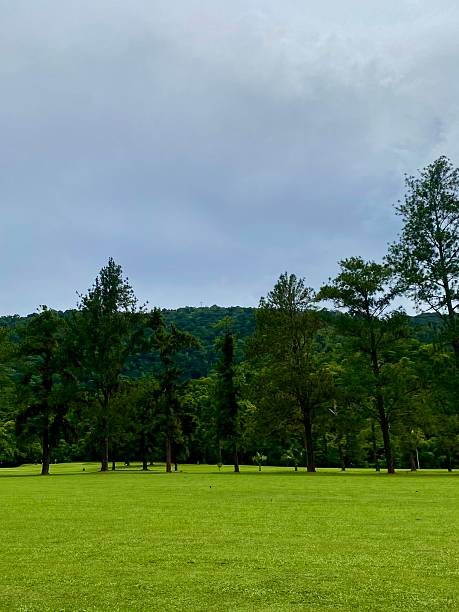 istock Rainy Day at the Greens 2211422102
