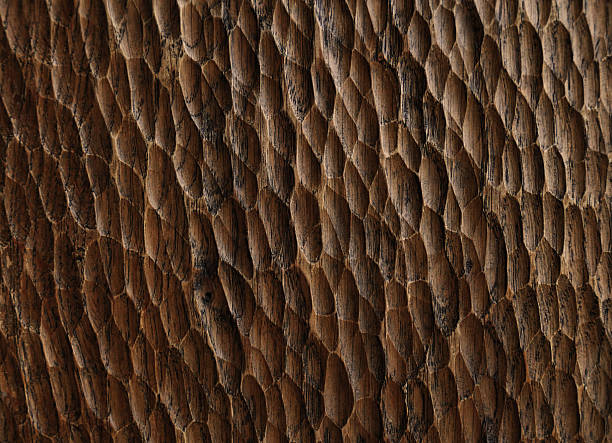 Intricate wood texture displays unique patterns and natural beauty found in handcrafted artistry