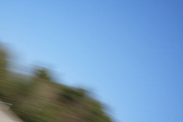 Abstract of autumn leaves