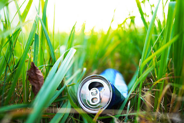 Soda can thrown away in grass. Garbage can in nature, reusable. Rubbish thrown in forest. Beer can thrown out in park. Waste in nature. Abandoned beer can garbage waste. Thrown out Crushed juce cans.