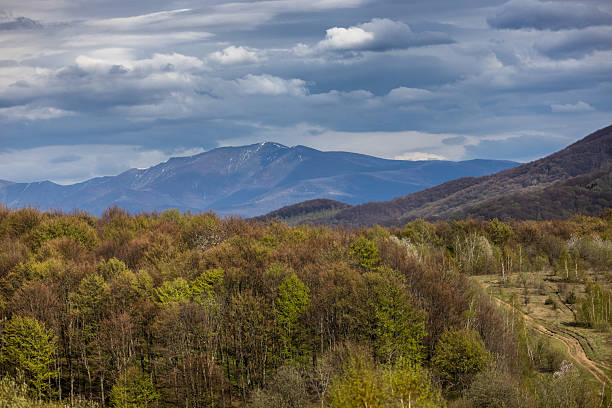 Spring landscape of Carpathian mountainous area