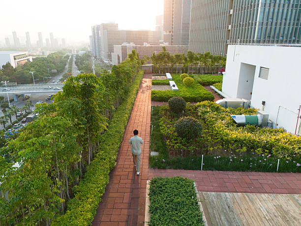 An Asian man walking on the rooftop garden