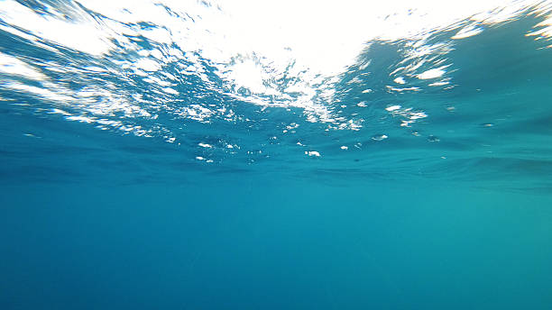 istock Underwater view of the ocean surface with sun rays shining through the waves 2211446816