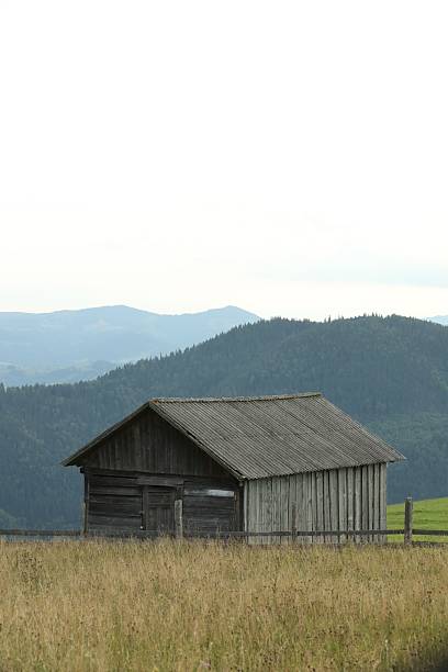 Amazing mountain view