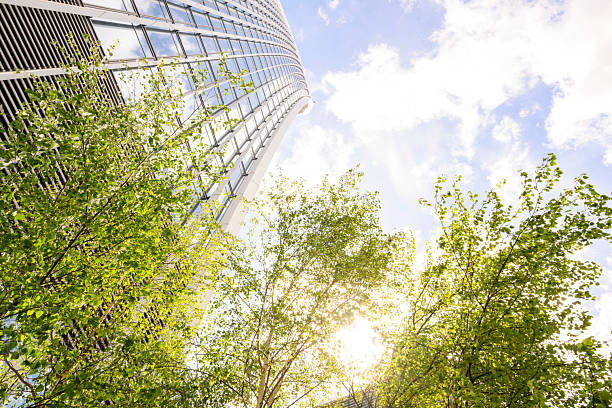 istock Green trees and tall office building in modern city 2211454277