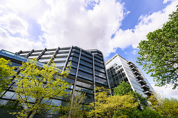 istock Tree greenery  juxtaposed with modern steel and glass buildings 2211454303