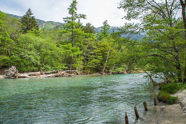 istock Fresh greenery in Kamikochi, Nagano Prefecture 2211455250