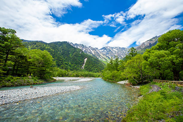 istock Fresh greenery in Kamikochi, Nagano Prefecture 2211456582
