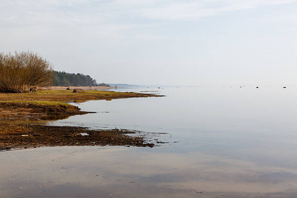 istock The seashore after low tide on a cloudy day. 2211458481