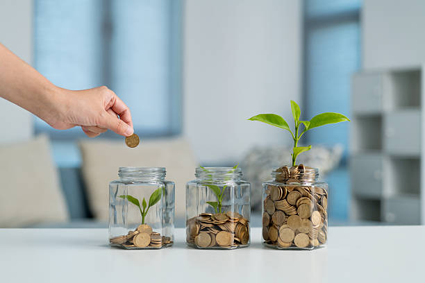 istock Human hand putting coin in the jar with plant 2211458736