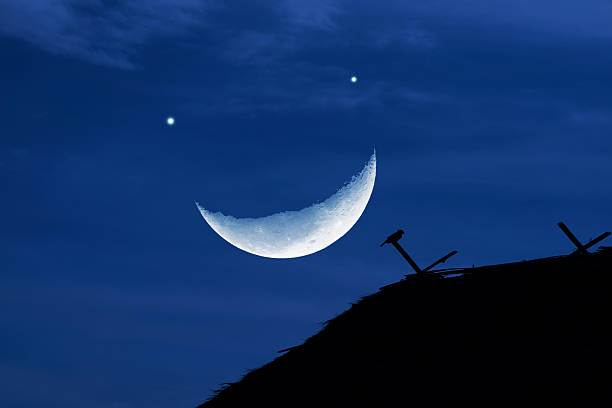 Sleepwalker wearing pajamas with pillow on roof in night