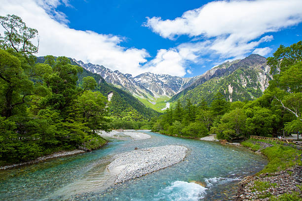 istock Fresh greenery in Kamikochi, Nagano Prefecture 2211460179