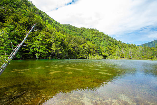 istock Fresh greenery in Kamikochi, Nagano Prefecture 2211465122