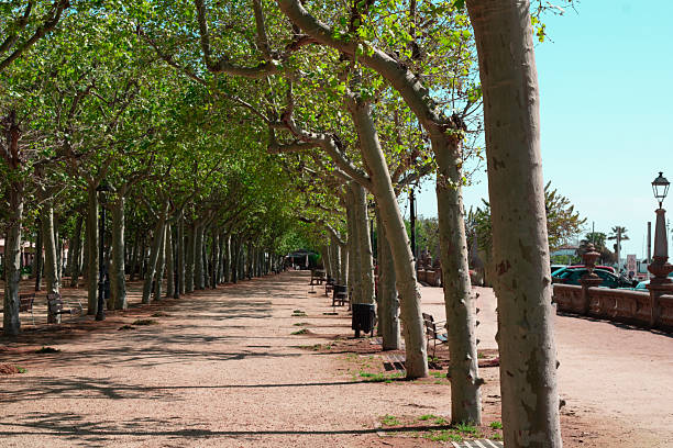 Barcelona park Montjuic, Spain, garden