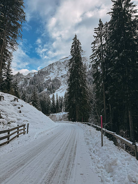 istock Snowy mountain road winding through pine forest in winter 2211467295