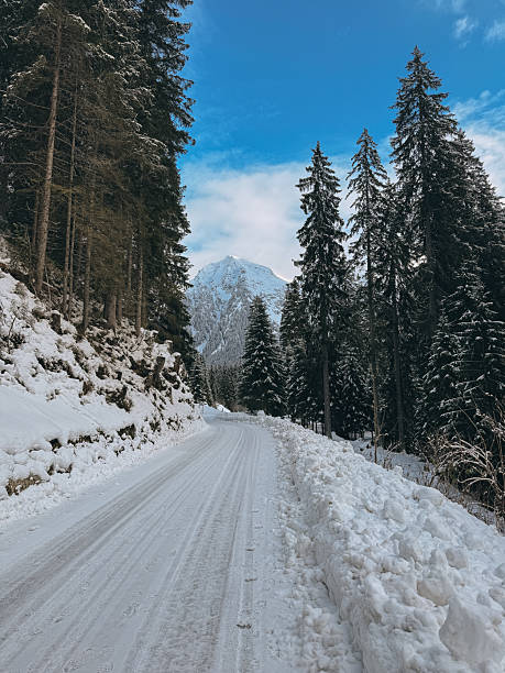 istock Snowy mountain road winding through pine forest in winter 2211467347