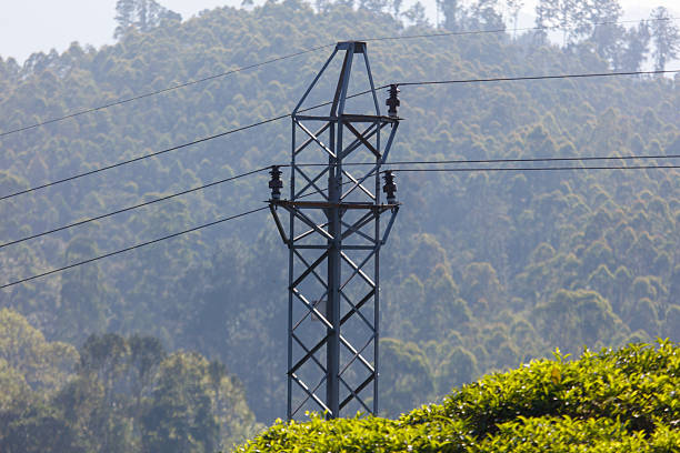 A tall power pole with wires running from it. The pole is surrounded by trees and the sky is cloudy