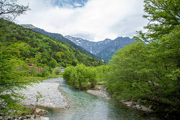istock Fresh greenery in Kamikochi, Nagano Prefecture 2211467729