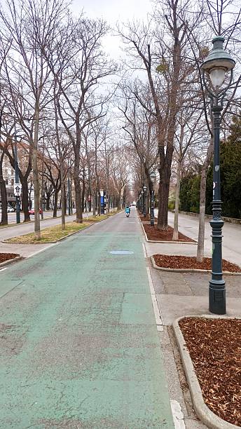 istock Empty tree-lined city street with bike 2211468474