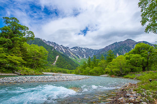 istock Fresh greenery in Kamikochi, Nagano Prefecture 2211468742