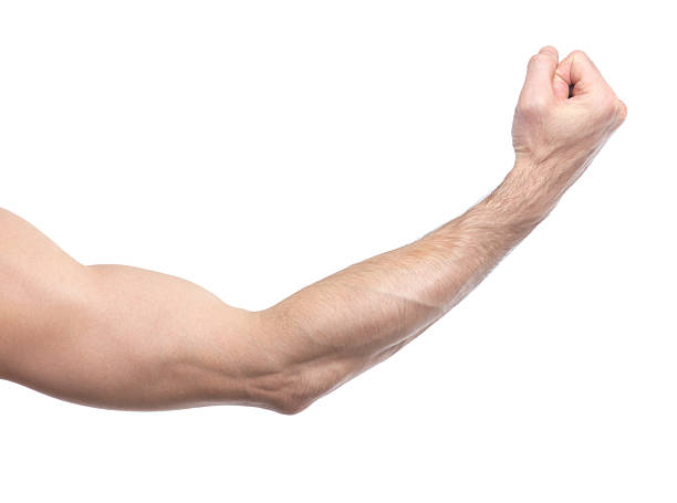 istock Mans arm with hand in fist 2211470299