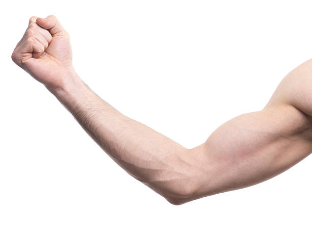 istock Man arm with hand in a fist 2211470316