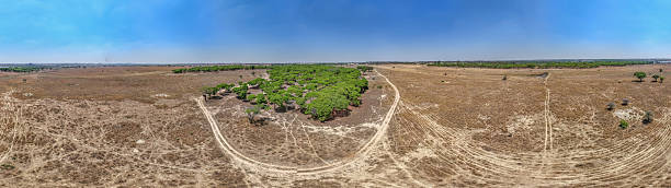 This striking aerial view reveals a vivid green forest patch—an emerald oasis standing out in stark contrast to the dry, golden grassland that surrounds it. The natural geometry of paths and the forest’s edge emphasize the delicate interplay of life and landscape. This photo was taken in Zimbabwe.