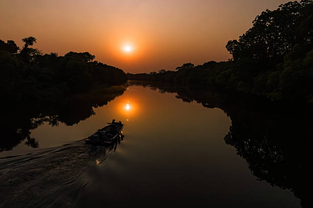 istock A River Carving Through the Forest at Dusk 2211473107