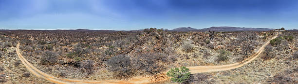istock Panorama of Diverging Bushveld Tracks 2211473783