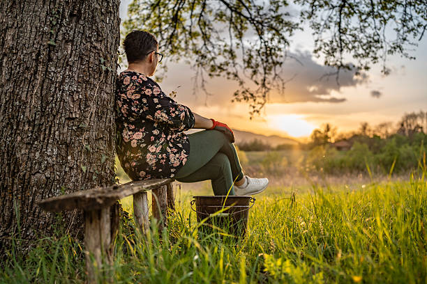 Relaxed individual seated on a bench under a tree, enjoying nature and sunset in a scenic, serene outdoor environment.