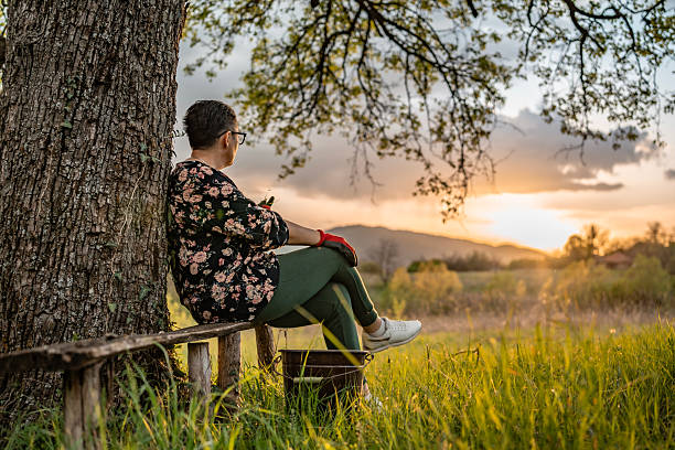 Individual sitting under a tree, gazing at a serene sunset landscape, portraying tranquility and contemplation within the beauty of nature.