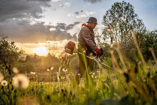 istock Gardener Trimming Grass in a Scenic Field During a Beautiful Sunset 2211476051