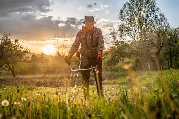 istock Gardener Using Grass Trimmer Outdoors at Sunset in Scenic Nature Setting 2211476052