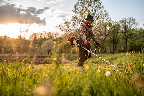 istock Worker Using Trimmer Mowing Grass in a Scenic Garden Landscape 2211476058