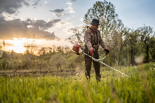 istock Gardener Trimming Grass With Motorized Tool During a Scenic Sunset in Nature 2211476063